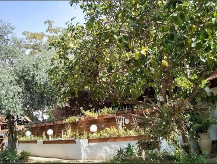 Czarina Cabin הבקתה הקיסרית והדירה הקיסרית Czarina Apartment Caesarea Exterior photo